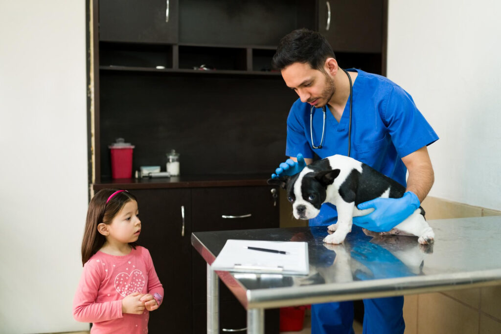 Benitez Animal Hospital Veterinary Clinic