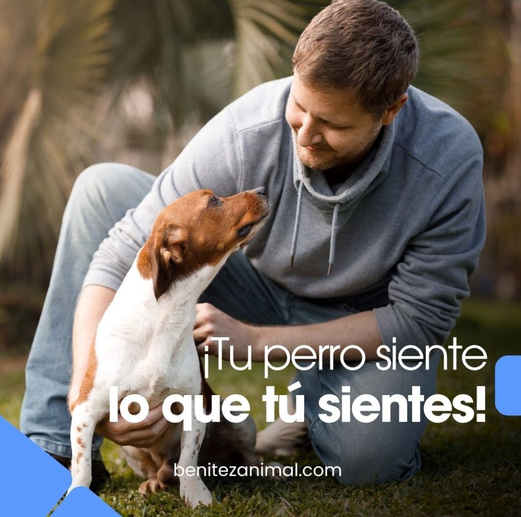Benitez Animal Hospital Veterinary Clinic