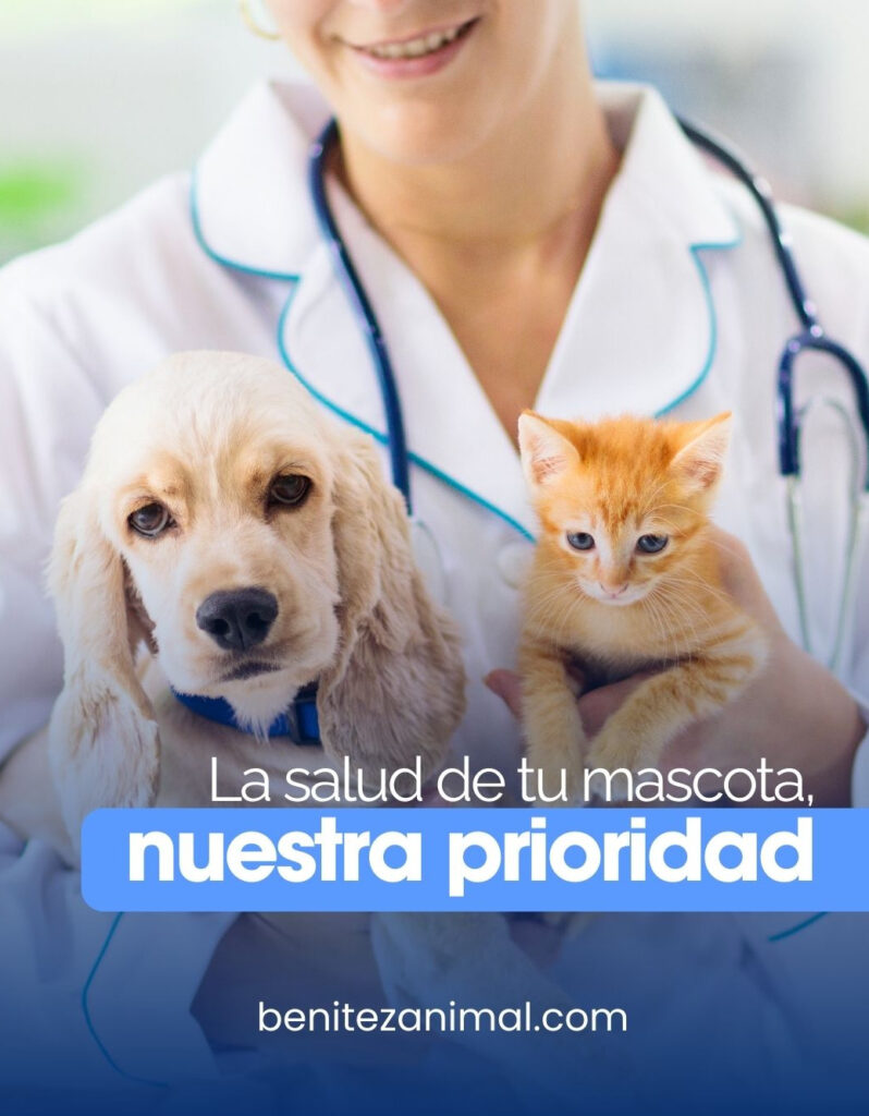 Benitez Animal Hospital Veterinary Clinic