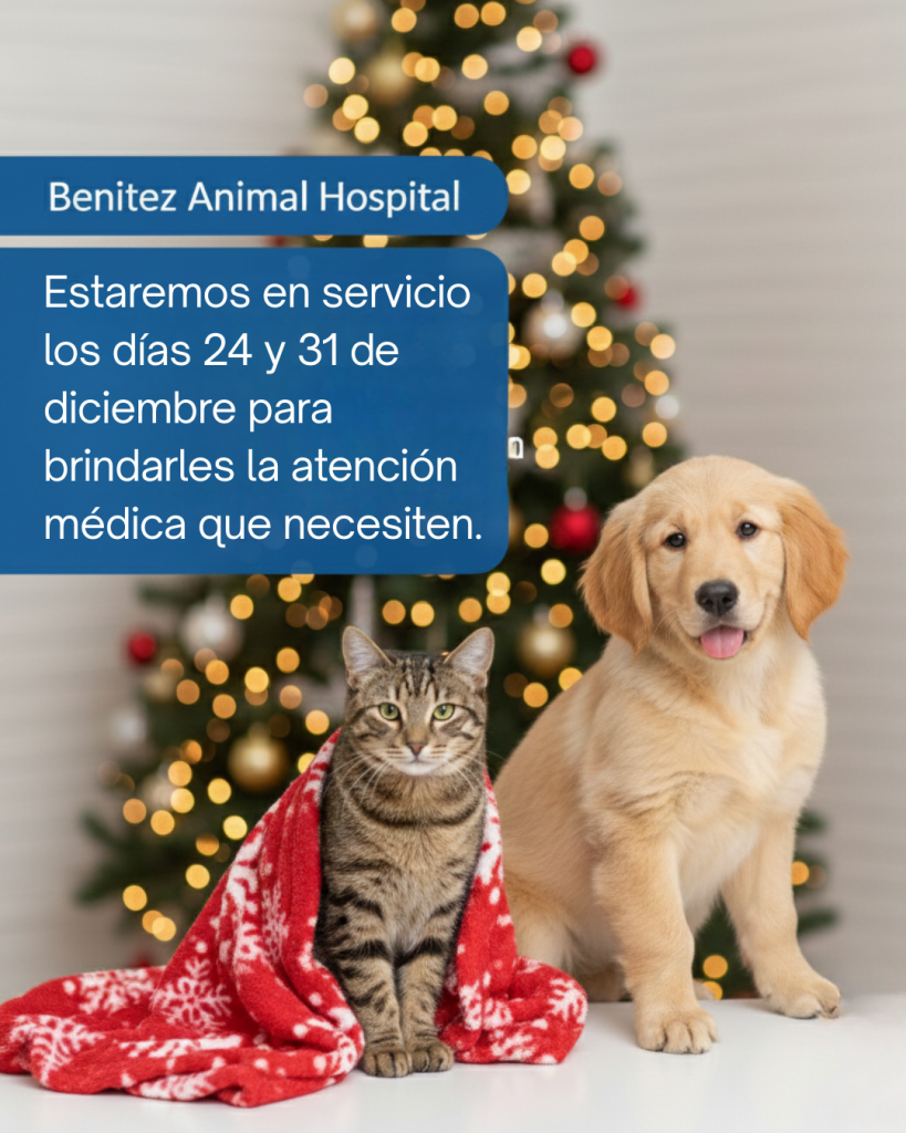 Benitez Animal Hospital Veterinary Clinic