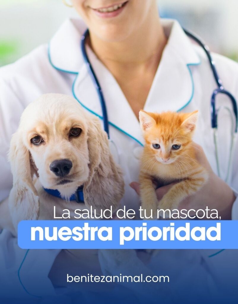 Benitez Animal Hospital Veterinary Clinic