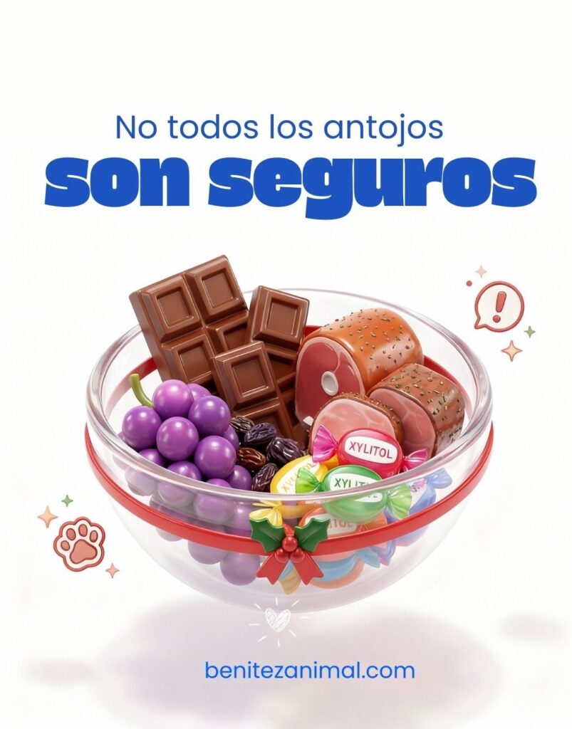 Benitez Animal Hospital Veterinary Clinic